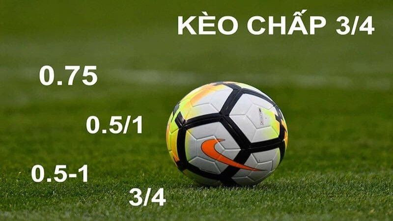 Lợi ích khi theo dõi tỷ lệ kèo nhà cái hôm nay